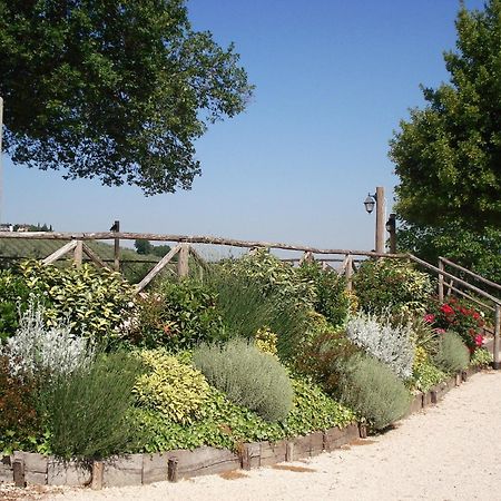 Tenuta Colverano Montefalco Exteriér fotografie
